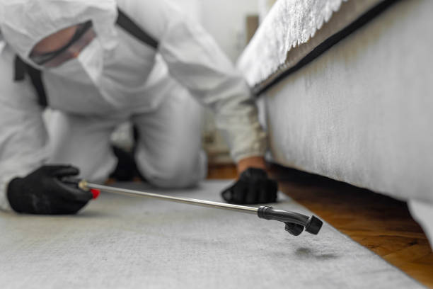 Professional Bed Bug Control technician working in Mount Vernon, VA