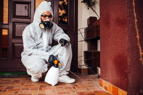 Reliable Bed Bug Control contractor in Mount Vernon, VA by Nex Pest Control